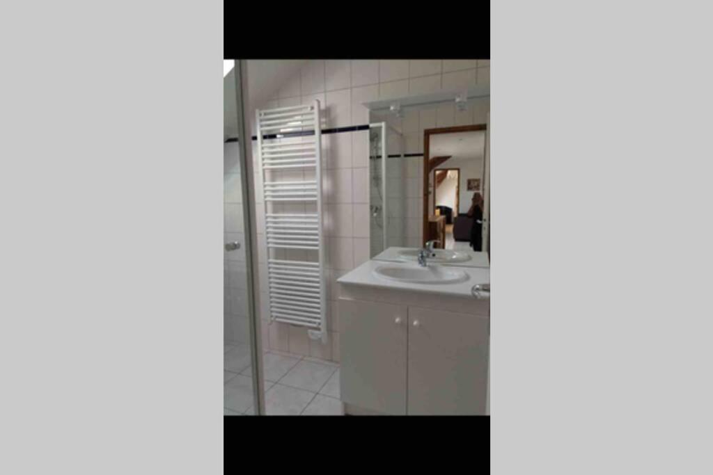בסה-סור-לה-רופט Appartement F2 Proche La Bresse מראה חיצוני תמונה